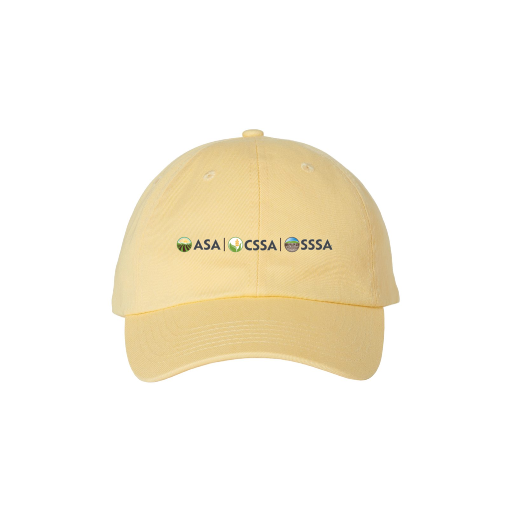 Adult Bio Washed Dad Hat