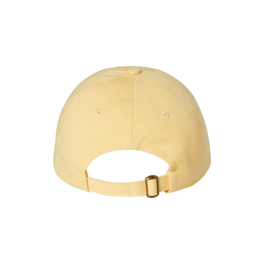 Adult Bio Washed Dad Hat